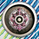 French Horn Rebellion / The Infinite Music of French Horn Rebellion
