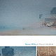 Tamas Wells / A Plea En Vendredi
