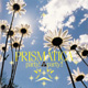 prismatica / party! party!!