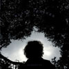 Black Feather / Silhouette