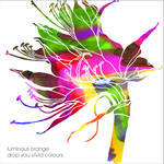 Luminous Orange / Drop You Vivid Colours