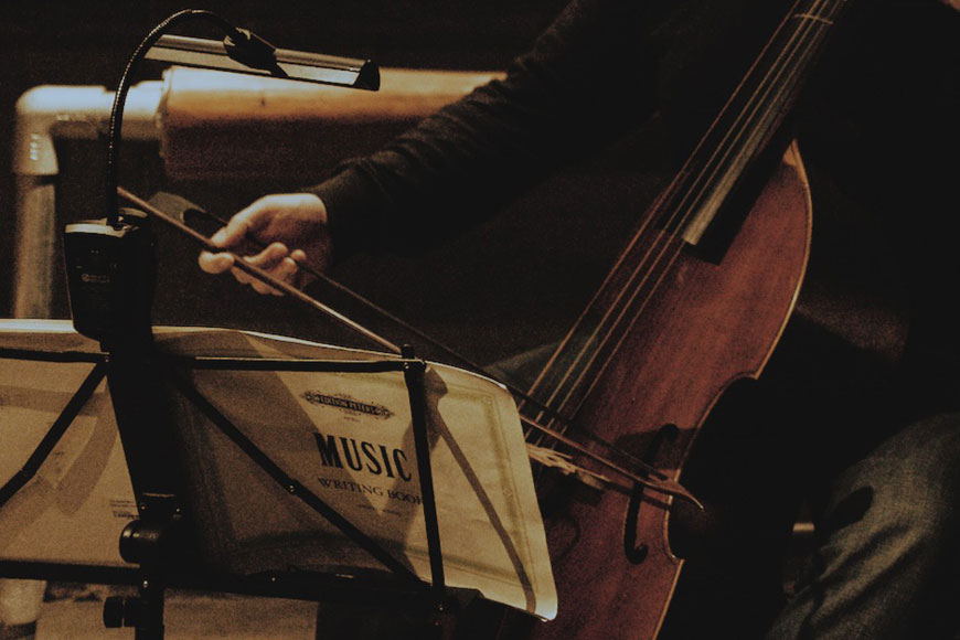 violadagamba
