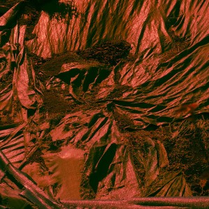 AMIP-0309